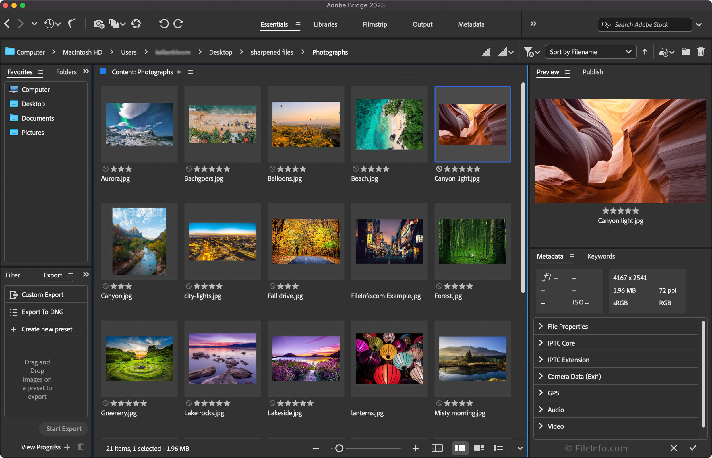 Adobe Bridge 2017: Tải Chính Thức Từ Adobe